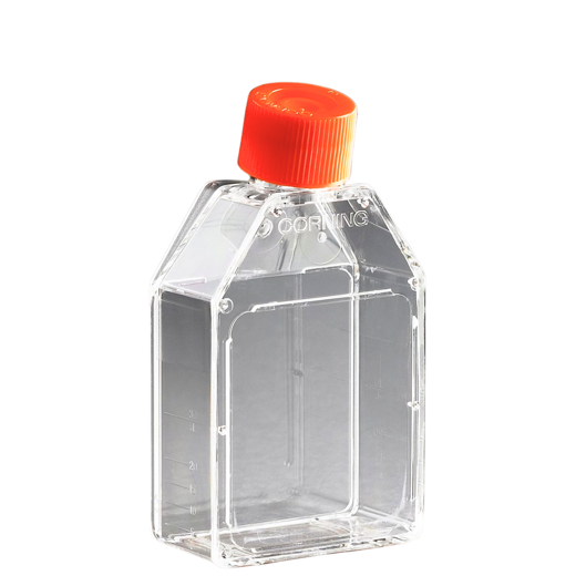 Ræktunarflaska hallandi háls með loftunar tappa 25cm² (200 stk ...